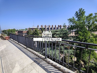 APPARTEMENT T6 A LOUER - PARIS 6EME ARRONDISSEMENT Notre Dame des Champs 2 - 146 m2 - 8000 € charges comprises par mois