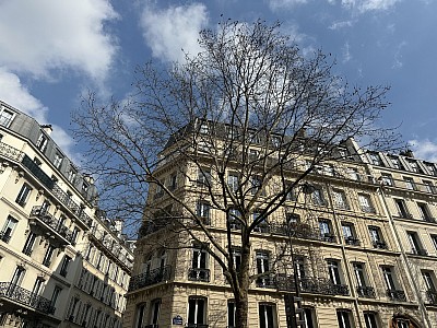 APPARTEMENT T2 A LOUER - PARIS 11EME ARRONDISSEMENT Roquette 11 - 55.46 m2 - 1495€ charges comprises par mois